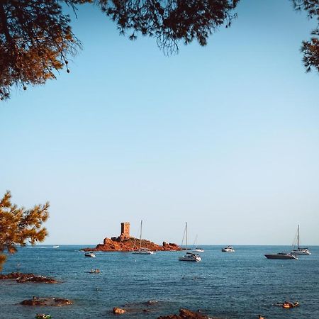 Apartmán Plage A 200 Metres. Vue Mer Et Esterel ! Renove Saint-Raphaël Exteriér fotografie